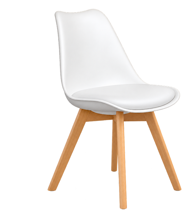 Scandinavian Molded Dining Chair