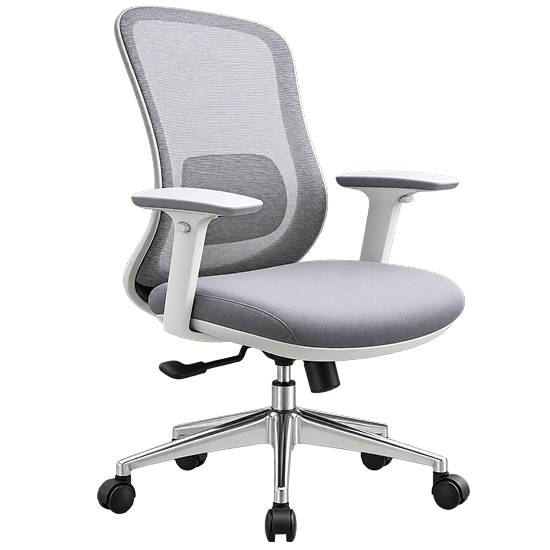Executive Mid-Back Ergonomic Mesh Office Chair