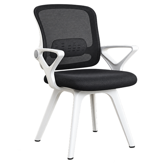 Ergonomic Executive Mesh Office Chair